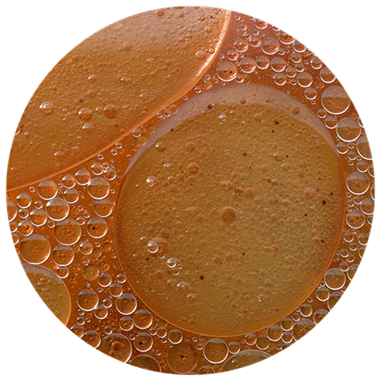 essential_oils_1.webp?v=1775188293&width=1500
