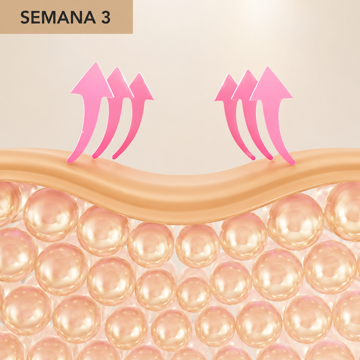 semana3.png?v=1778796562&width=1500
