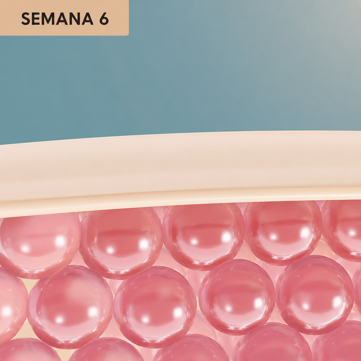 semana6.png?v=1778796612&width=1500
