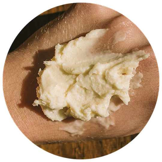 tallow_1.webp?v=1775188146&width=1500